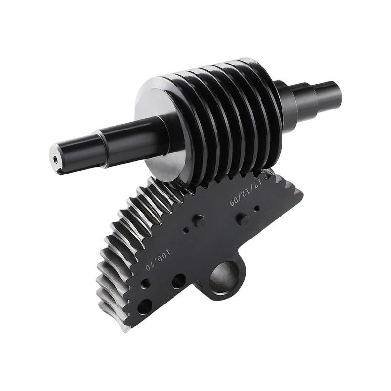 Hot Sale Helical Gear Food Machinery Worm Wheel Worm Gear