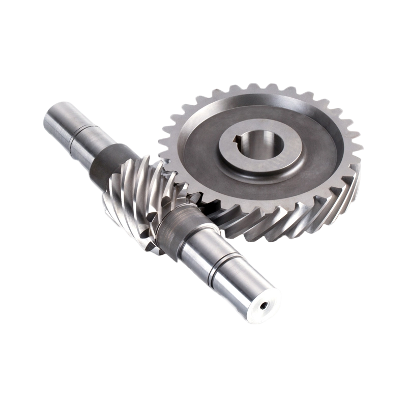 Forging Worm Wheel Worm Gear Precision Customized Industrial Stainless Steel Spur Helical Gears